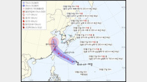 11호 태풍 ‘하이쿠이’, 예상보다 서쪽으로…“중국 내륙 향할 듯”