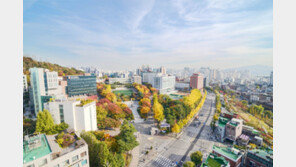 학생부교과-논술전형, 전 과목 성적 반영