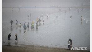 을왕리 해안가서 신원 미상 여성 시신 발견…부검 의뢰