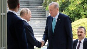 에르도안 만난 푸틴 “곡물협정 열려있어”