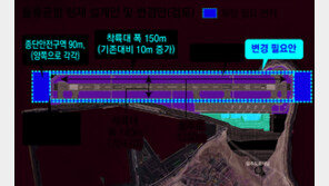 [단독]한국에 없는 소형機 맞춰 설계한 울릉공항, 또 재설계 추진