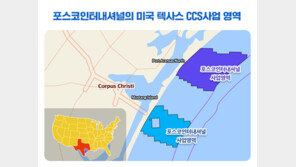 포스코인터, 美 텍사스서 해상 CCS 확보…탄소 6억톤 저장