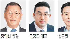 정의선-구광모-신동빈 등 印尼 찾아 ‘경제 외교’