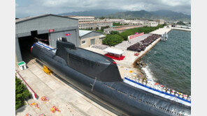 美 전문가들 “北 새 잠수함, 연안 수중미사일 이동 발사대 불과”