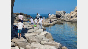 ‘초가을 늦더위’에…주말 강원 관광지·유명산에 나들이객 북적