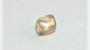 7살 생일에 2.95캐럿 다이아몬드 발견한 美 어린이 화제