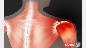 ‘자다가도 벌떡’ 어깨 통증…염증 잡는 비법 알아냈다