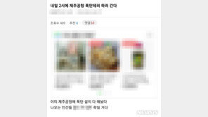 “경찰 시험해보고 싶었다”…전국 공항 테러 예고 글 30대 구속