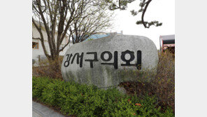 ‘낮엔 사회복무요원, 밤엔 구의원’ 김민석, 첫 변론서 “일할 수 있다”