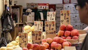 제수용 사과 하나에 1만 원 