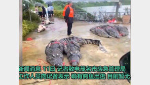 중국 남부 폭우로 7명 사망·악어 75마리 탈출…외출자제 권고
