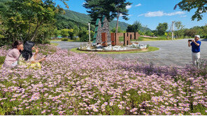 “백두대간에서 자란 가을꽃 느껴보세요” 