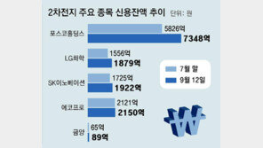 2차전지 하락세 이어지자… “매수 기회” 빚투 다시 고개 