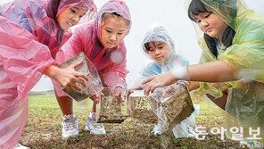 ‘멸종’ 50년만에… 소똥구리 돌아왔다 