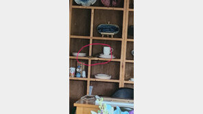 도자기 그릇 사이에서 ‘꿈틀’…무안서 1m 야생 구렁이 출몰