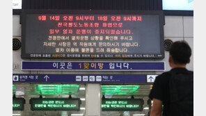 “한국 여행 다 꼬였다, 2시간째 대기”…멈춘 기차 앞 외국인들 멘붕