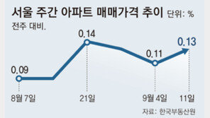 서울 아파트 가격 17주 연속 올랐다