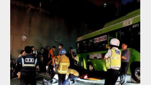 “브레이크가 이상해” 경사로서 밀린 마을버스 3중 추돌…17명 경상