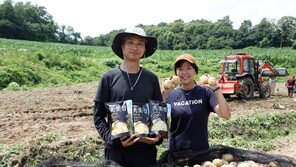 농심, 귀농 청년농부 지원 프로그램 성료… 수확 수미감자 325t 구매