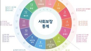 출산율 30년 새 ‘반토막’…1인 가구 비중은 20년 간 2배↑