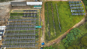“논에 영농형태양광 설치하면 농가소득 최대 6배 늘어”