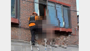 사다리 타고 2층 창문 들어가다 쓰러진 채 발견된 건물주 사망