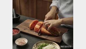 김치가 피클의 일종이라고?…‘온라인 백과’ 오류 수두룩