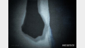 “왜 아내 편만 들어” 지인 앙심 품고 흉기 챙긴 50대 영장신청