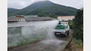 추석 연휴 아프리카돼지열병 차단 총력…명절 전후 일제 소독