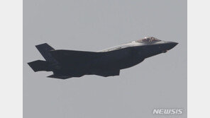 조종사 탈출 후 실종됐던 美 스텔스기, 24시간 만에 잔해 발견