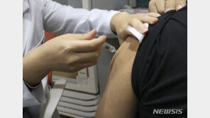 내일부터 노인·어린이·임산부 인플루엔자 무료 접종 시작