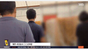 덜 익은 제주귤에 가스 뿌려 노랗게…‘강제 착색’ 농장 적발