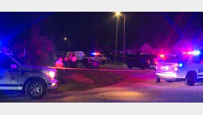 “말다툼하다가”…美서 권총으로 母 살해한 14세 소년