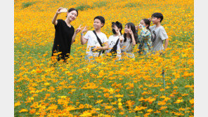 내일 새벽 중부부터 전국에 비…21일까지 최대 150㎜