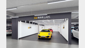 자체 세부 검사로 허위 매물 걱정 해소