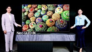 초대형-프리미엄 전략으로 제품 라인업 다양화