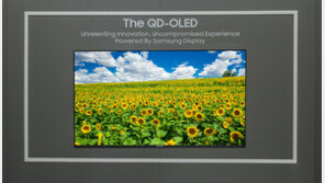 삼성D ‘체감휘도 측정법’ 국제표준 채택…“‘진짜 밝기’ 구분한다”