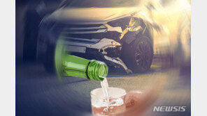 음주운전 20대, 순찰차 등 18대 부숴…경찰, 실탄 쏴 검거