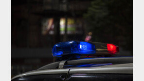 순찰차 들이받으며 도주한 음주 차량…실탄 6발 쏴 검거한 경찰