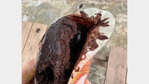 편의점 빵 안에 커다란 ‘풍뎅이’ 꿈틀… ‘기겁’