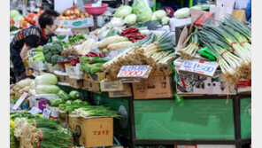 8월 생산자물가 0.9%↑, 16개월만에 최대…농산물값-국제유가 급등 영향