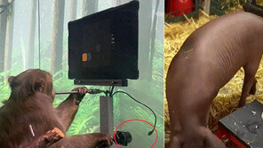 “뇌에 컴퓨터 칩 이식할 분?”…머스크의 뉴럴링크, 첫 임상시험 참가자 모집 