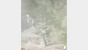 산책 여성 목졸라 풀숲 끌고 간 40대…‘은둔형 외톨이’였다