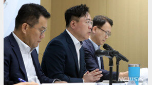 “비싼 차에 더 많은 자동차세 정상” vs “전기차 누가 사나”