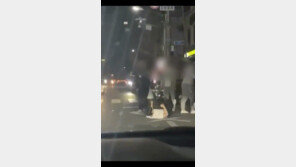 기절한 사람 ‘퍽퍽’ 쳐놓고 “쌍방폭행”…서산 묻지마 집단폭행 경악 