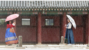우산 쓴 채 사진 찍는 외국인 관광객