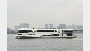 효도행사 중에 ‘쿵’…146명 태운 한강 유람선, 교각 충돌해 16명 경상