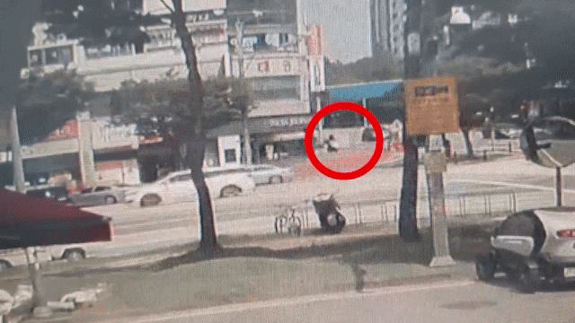 베트남으로 도주한 대전 신협 강도, 23일 만에 인천공항 송환