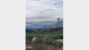 “펑, 펑, 굉음 후 기체 엔진 불꽃”…서산 전투기 추락 민가피해 없어