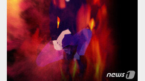 전 남편 집에 불지른 50대 여성…범행 도운 지적장애 아들